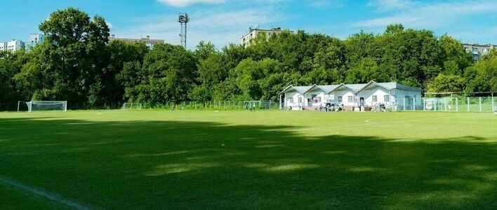  У стадиона «Локомотив» убрали аварийные деревья