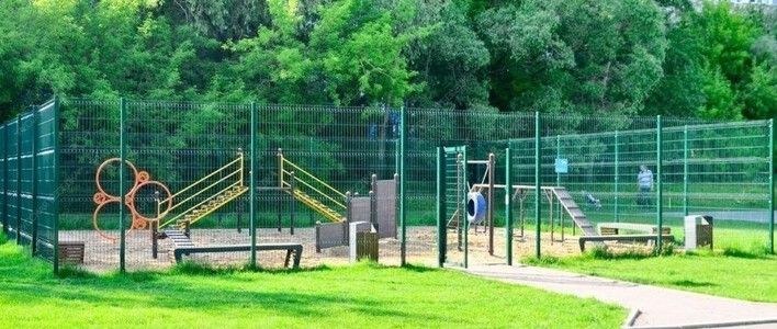 В Кирове обустроят площадки для выгула собак 