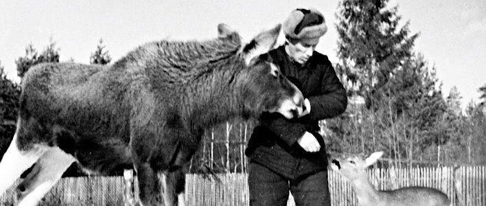 Биография кировского зоолога Георгия Шубина