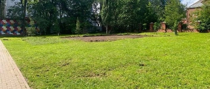 В Кирове началась реализация проекта «Чудо-дерево»