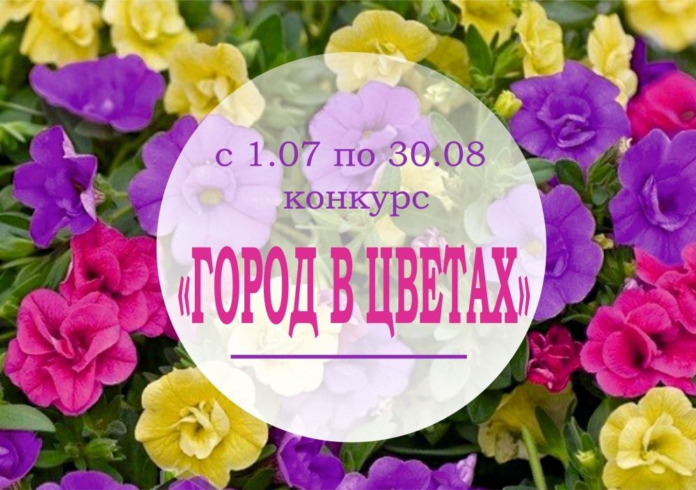 В Кирове выбирают лучший цветущий двор