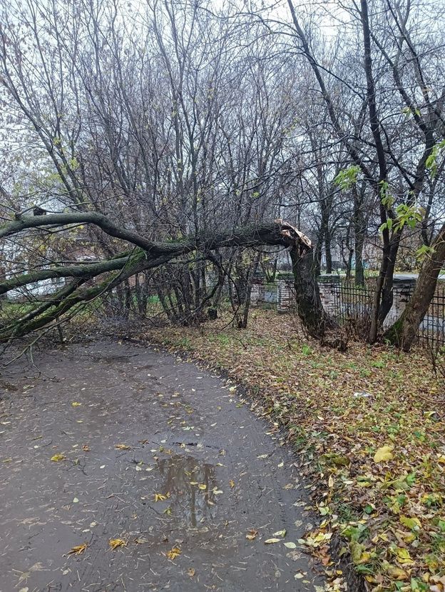 Городские службы устраняют последствия непогоды