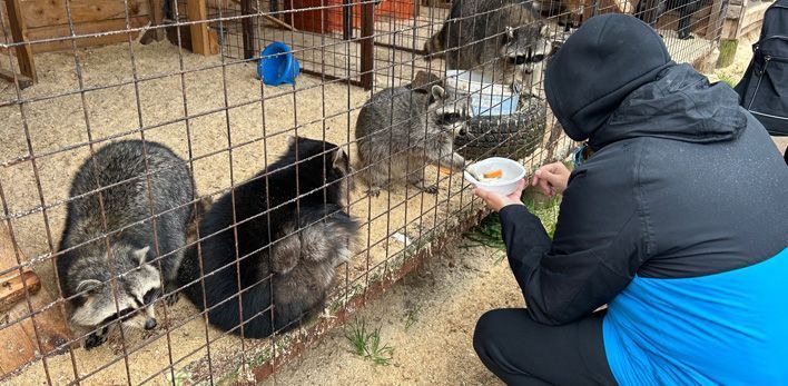 Жителей Кирова приглашают на обучение в «Школе фермера»