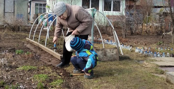 Мартовские заботы: что нужно сделать садоводам в первом весеннем месяце