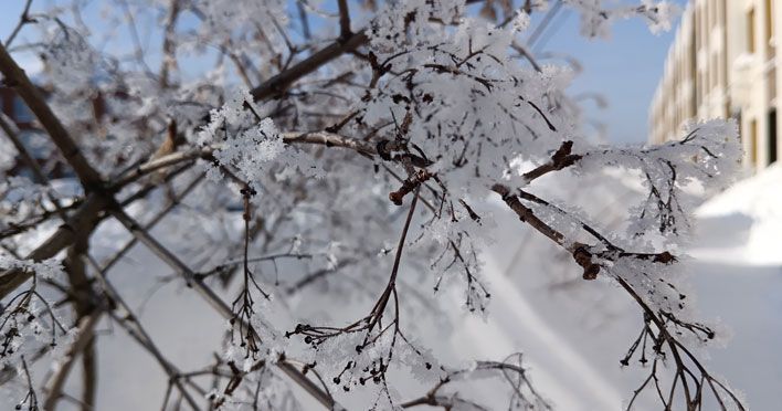 В начале марта в Кирове похолодает до -30 градусов