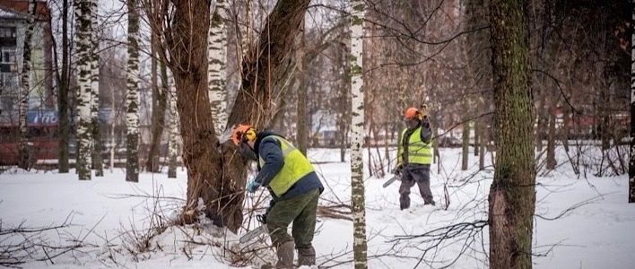 В парке Победы убирают аварийные деревья