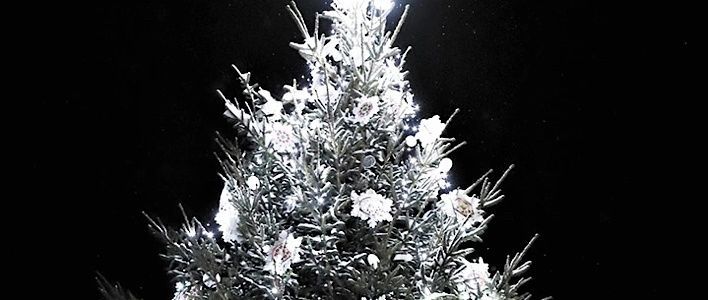 Определены победители конкурса «Лучшая новогодняя ель»