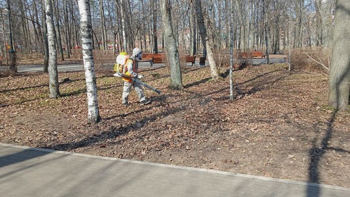 Кировские парки и скверы обработают от клещей
