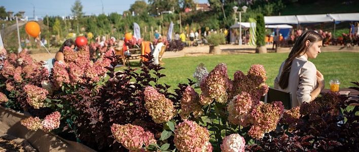 Итоги фестиваля «Арт-сад»