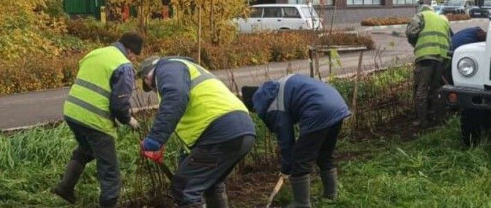 В Кирове продолжается озеленение общественных территорий
