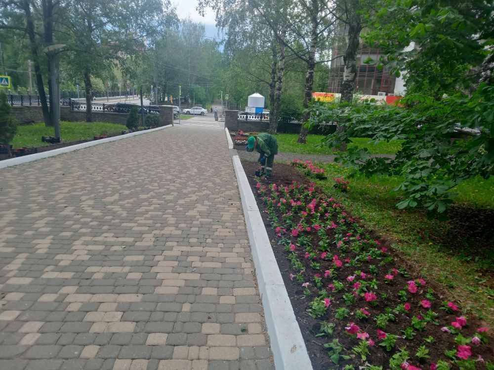 Ко Дню города в Первомайском районе высадят 17 тыс. цветов.