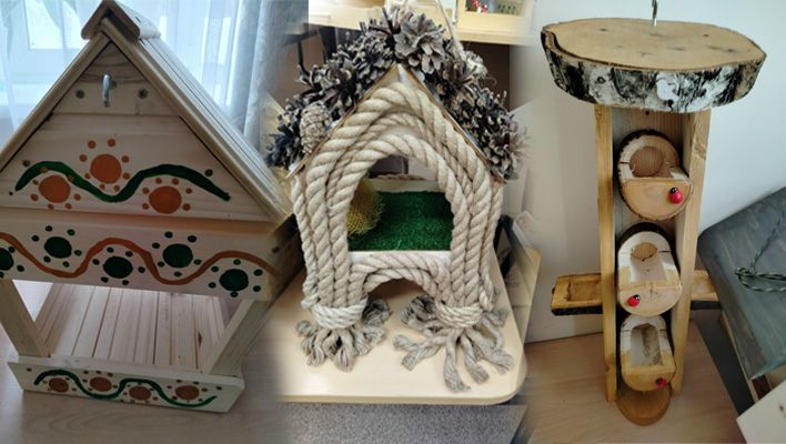 В Кирове подвели итоги конкурса птичьих кормушек