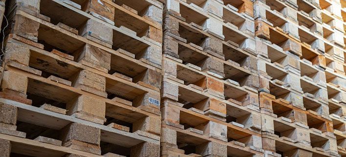 Семейная пара из Кирова создала бизнес с помощью господдержки