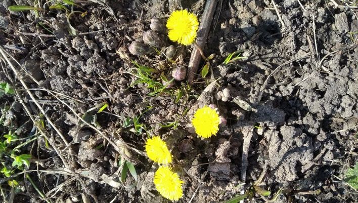 Жаркий март: в Кирове установлено 11 температурных рекордов