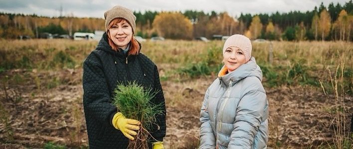 В Кирове стартовала акция посади дерево к юбилею Победы