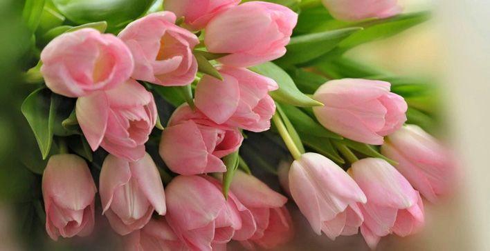 С 8 Марта, дорогие кировчанки!