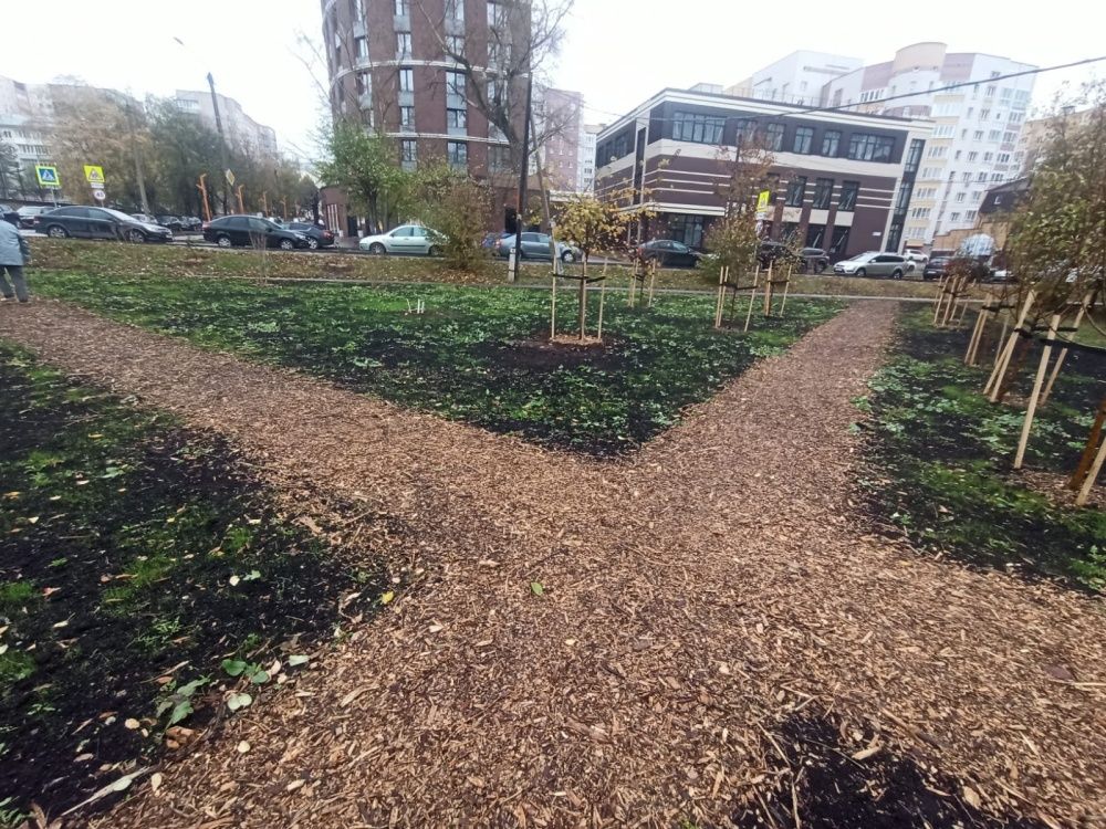 В Кирове пустырь превращается в зеленый сквер