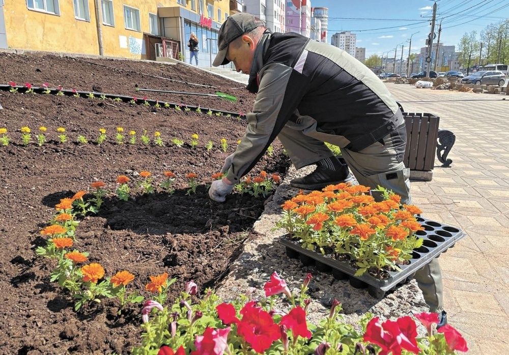 Готовимся к Дню города