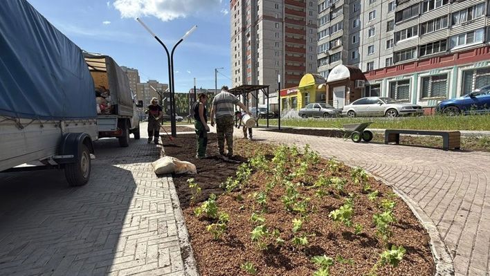 В Кирове продолжается озеленение сквера на улице Юровской