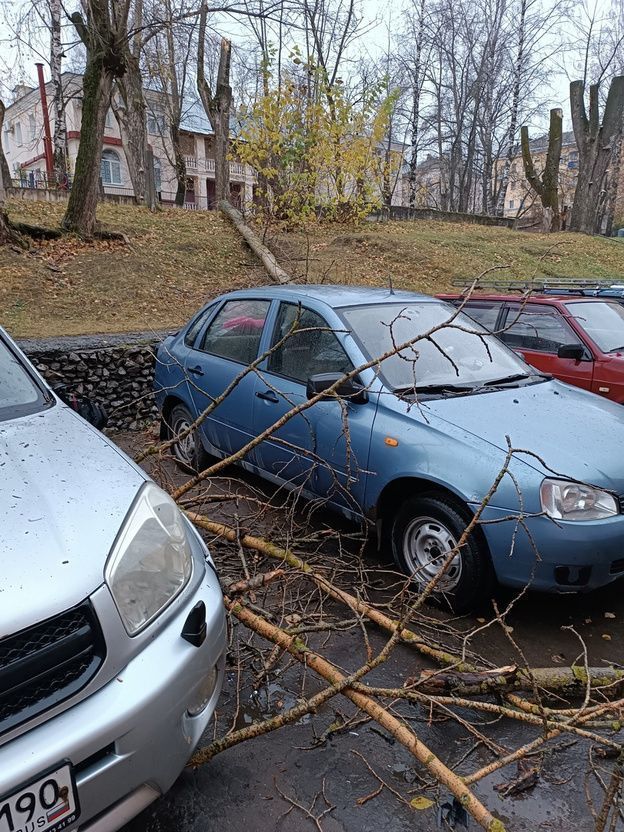 Городские службы устраняют последствия непогоды