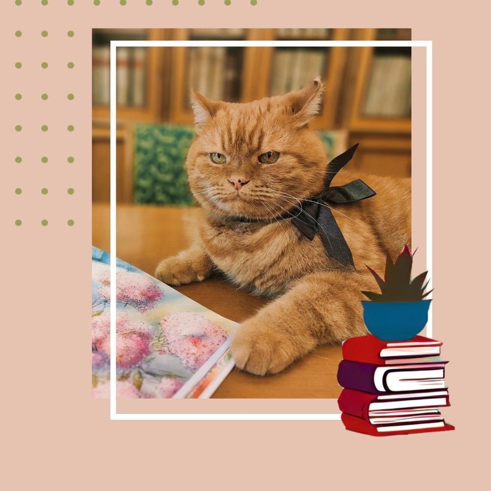 Встречи в Герценке