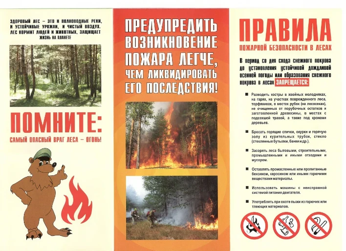 Кировских любителей отдыха на природе предупредили о правилах пожарной безопасности