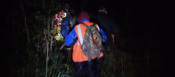 В январе найдены живыми 18 пропавших кировчан