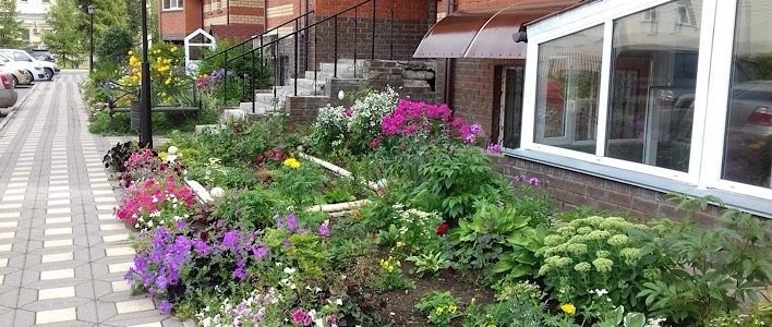 «Цветущий город»: новый сезон