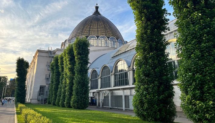 Обрезанные тополя на Производственной превратятся в деревья с ВДНХ