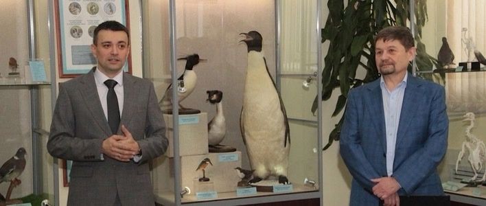 В Кировском зоомузее открылась новая выставка «Птицы. Технология совершенства»