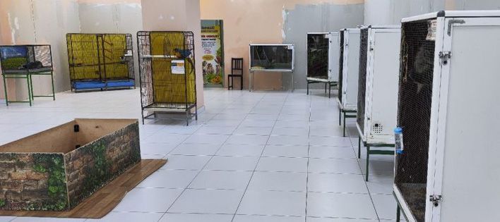 В Кирове выявили нарушения в работе контактного зоопарка