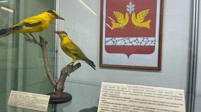 В зоомузее представили чучела животных, которые нарисованы на гербах районов области