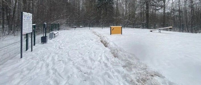 В Первомайском районе появилась новая площадка для выгула собак 