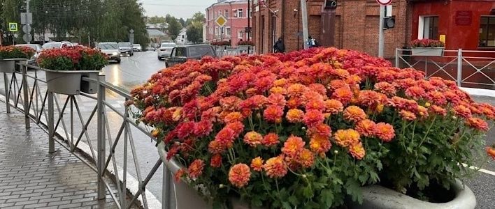 В Кирове высадили более 6 тысяч деревьев и кустарников