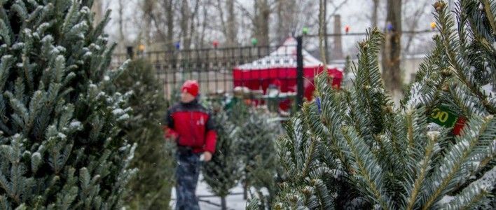 Ёлочные базары в Кирове