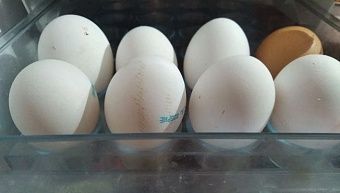 В Кировской области проверят обоснованность повышения цен на яйца