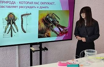 Юные кировчане создали робота с ультразвуковым зрением