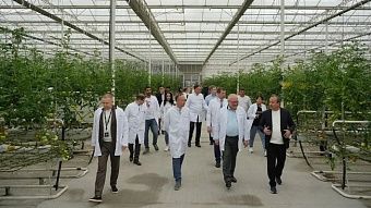 В Киров повезут фрукты и овощи из Узбекистана