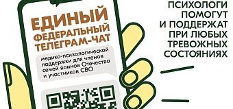В России работает чат поддержки для участников СВО