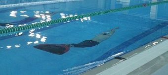 В Кирове проходит Кубок России по подводному спорту