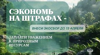 Росприроднадзор напомнил о своевременной сдаче отчетов в рамках РОП