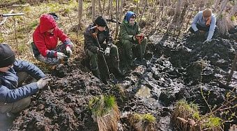 Кировские поисковики нашли останки 94 бойцов