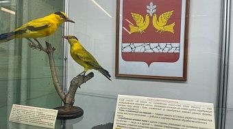 В зоомузее представили чучела животных, которые нарисованы на гербах районов области